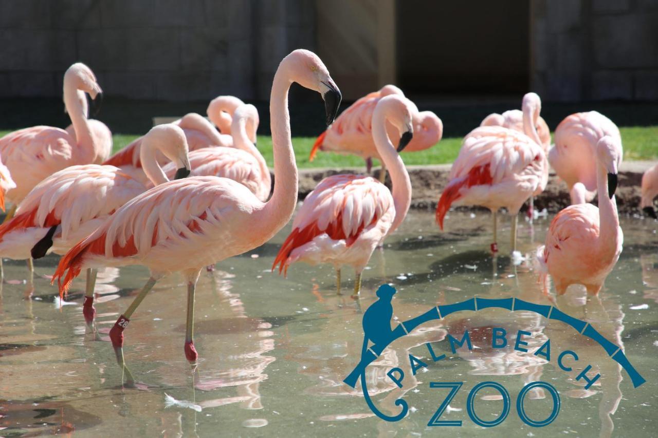 Close To Everything! Perfect Basecamp For Wpb West Palm Beach Zewnętrze zdjęcie